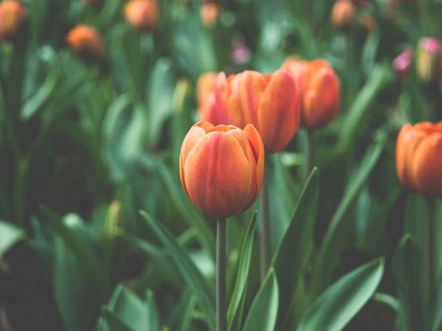 eveniet-sed-dicta-est-corrupti-autem-accusamus-provident-sint